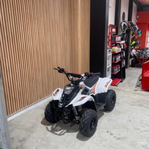 2025 Big Boy Puma 110
