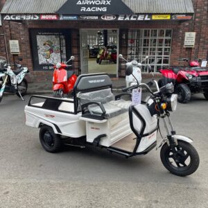2025 Big Boy e-Trike 800w